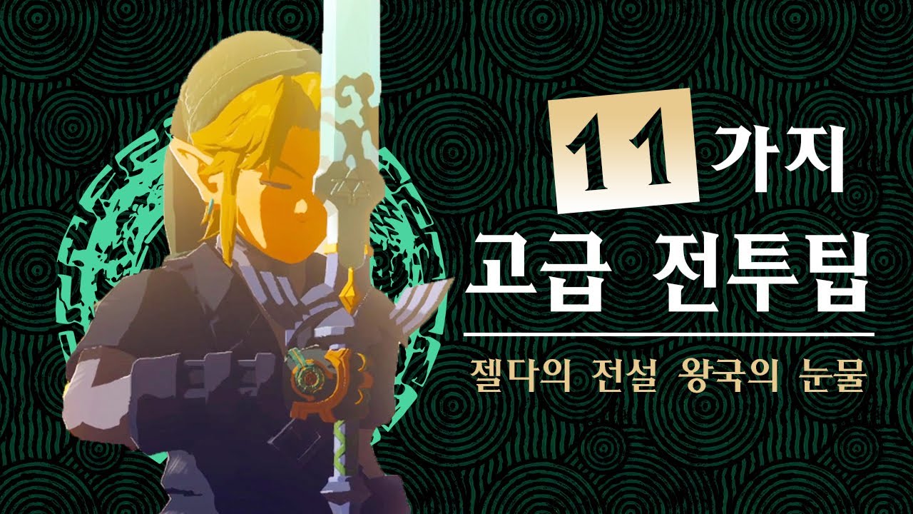 젤다의 전설 티어스 오브 더 킹덤 고급 전투 팁 11가지
