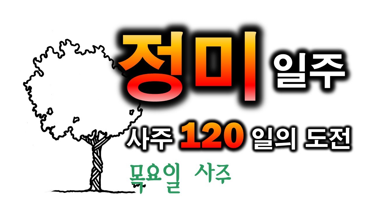 정미일주 한방정리(81일차)