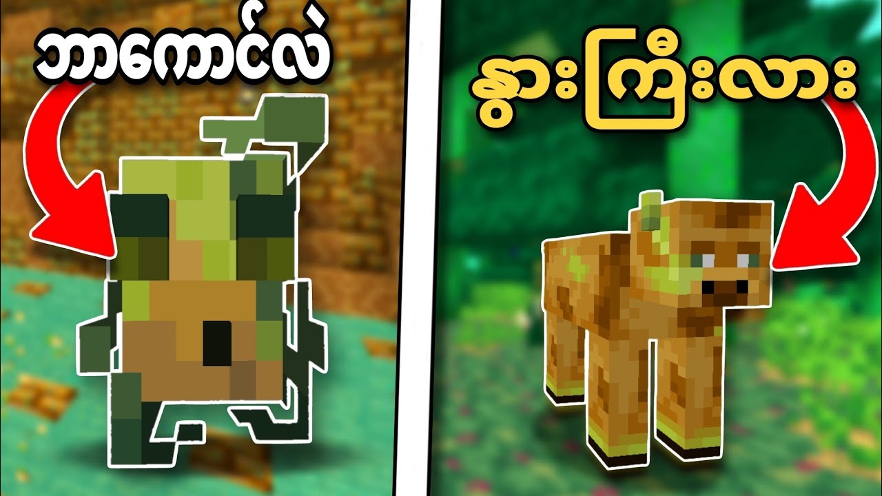 Minecraft but ကျနော်အာလူးကမ္ဘာထဲရောက်သွားတယ်