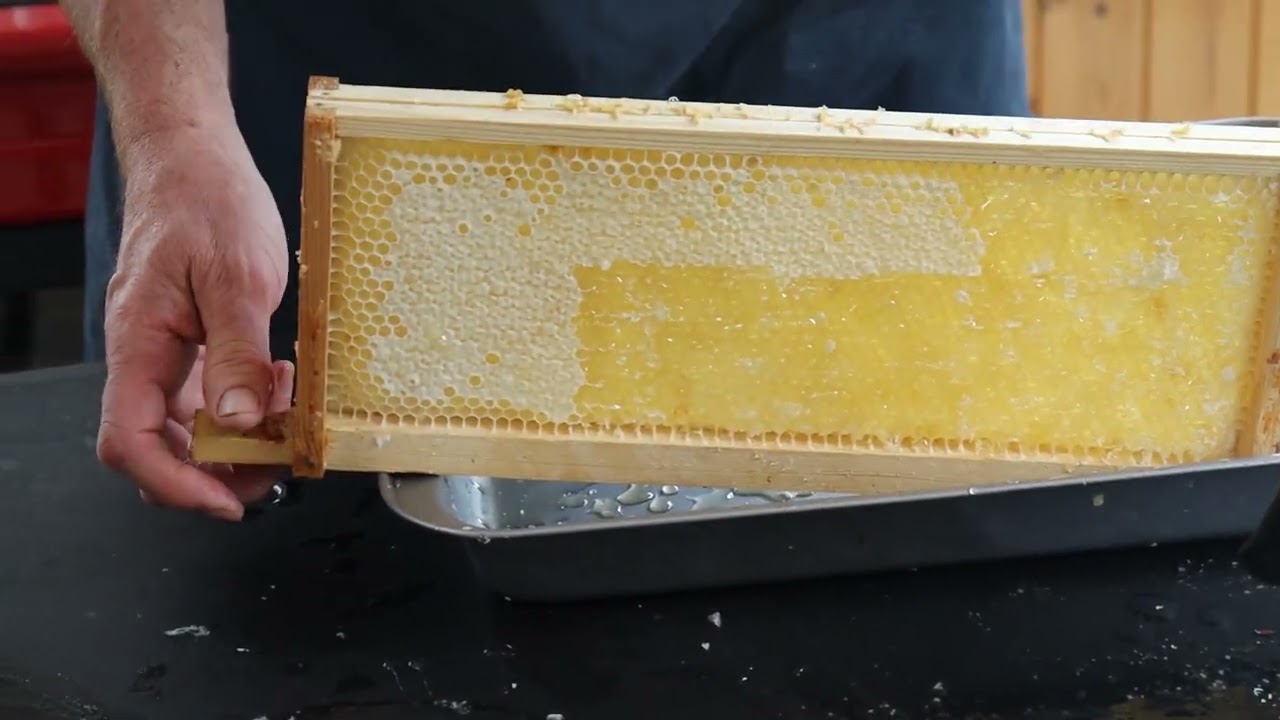 Biobees Honey Extraction Video 2022