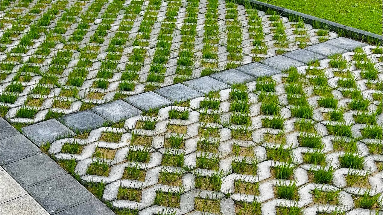 Grass Pavers/ #nature #pavers #viralvideo #garden #home #grass #landscape #shorts