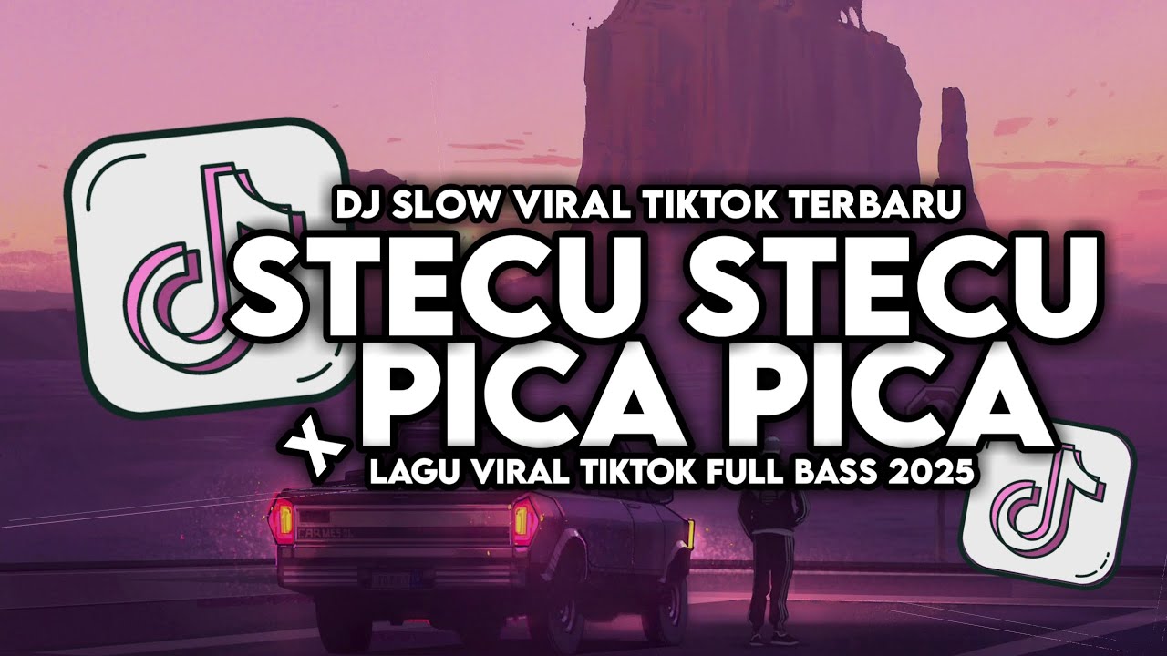 DJ STECU STECU X PICA PICA SLOW VIRAL TIKTOK FULL SONG MAMAN FVNDY 2025