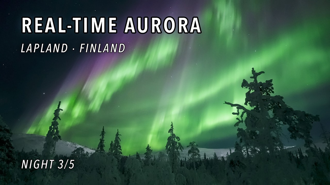 Fast-Moving Real-Time Aurora Dancing Over Snowy Forest in Äkäslompolo – Night 3/5 [4K]