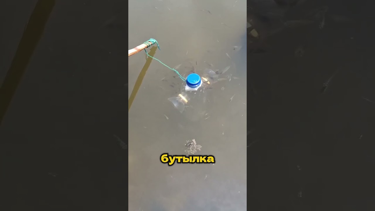 Как легко поймать много рыб #лайфхак