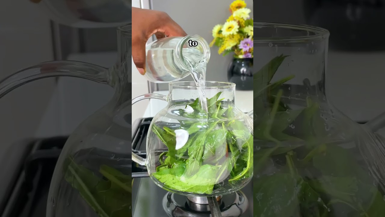 Drink bitterleaf tea moderately. #giveityourbestshort #youtubemadeforyou