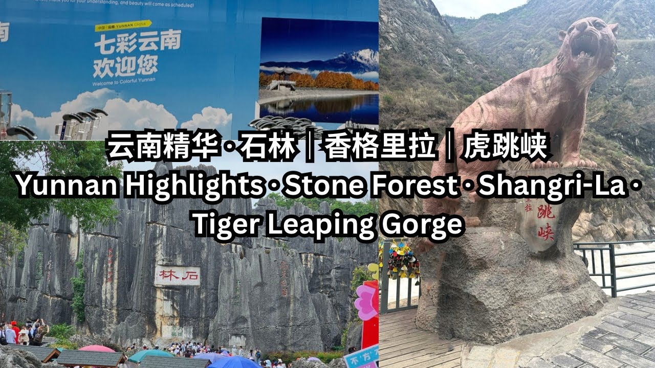 ✨云南旅行 Vlog｜Day 1-3：石林、楚雄理想邦、香格里拉、虎跳峡Yunnan Travel Vlog | Day 1-3: Stone Forest · Lixiang Bang