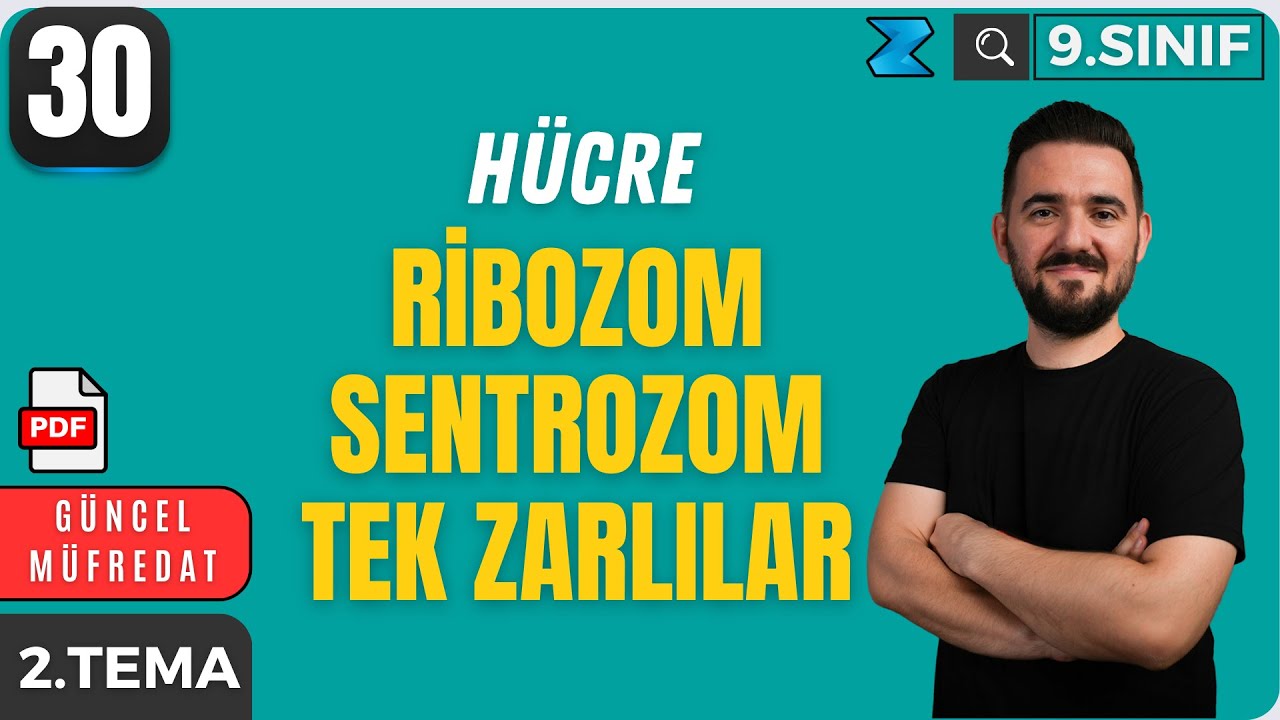 Ribozom Sentrozom Tek Zarlı Organeller | 9. Sınıf Yeni Müfredat | Maarif Modeli | 29. Ders