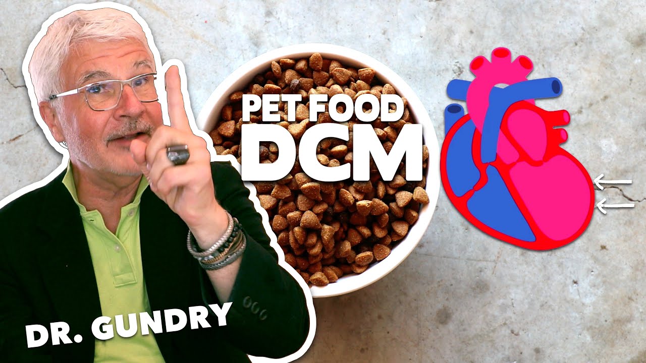 Dr. Steven Gundry’s take on nutritional DCM