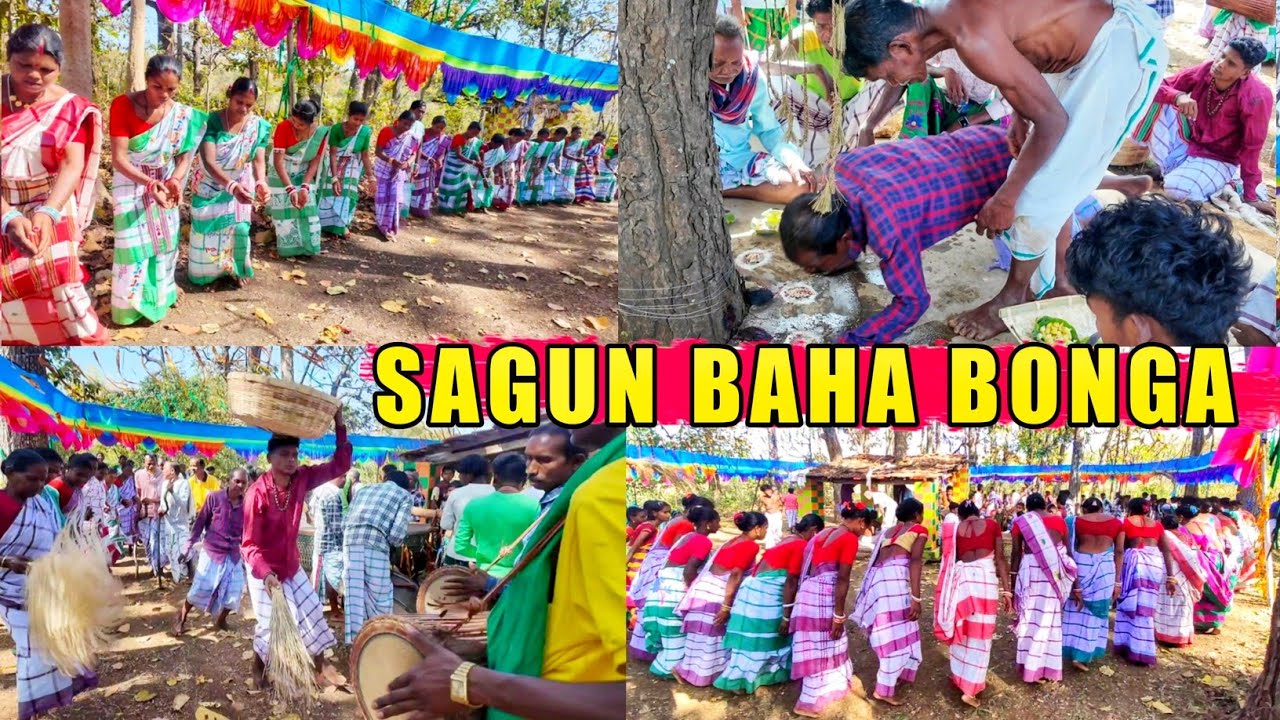 Baha Bonga || Ale Atu Baha Bonga Bhadu Sahi || @simaltudu  || new santali video 2025 |  Baha bonga