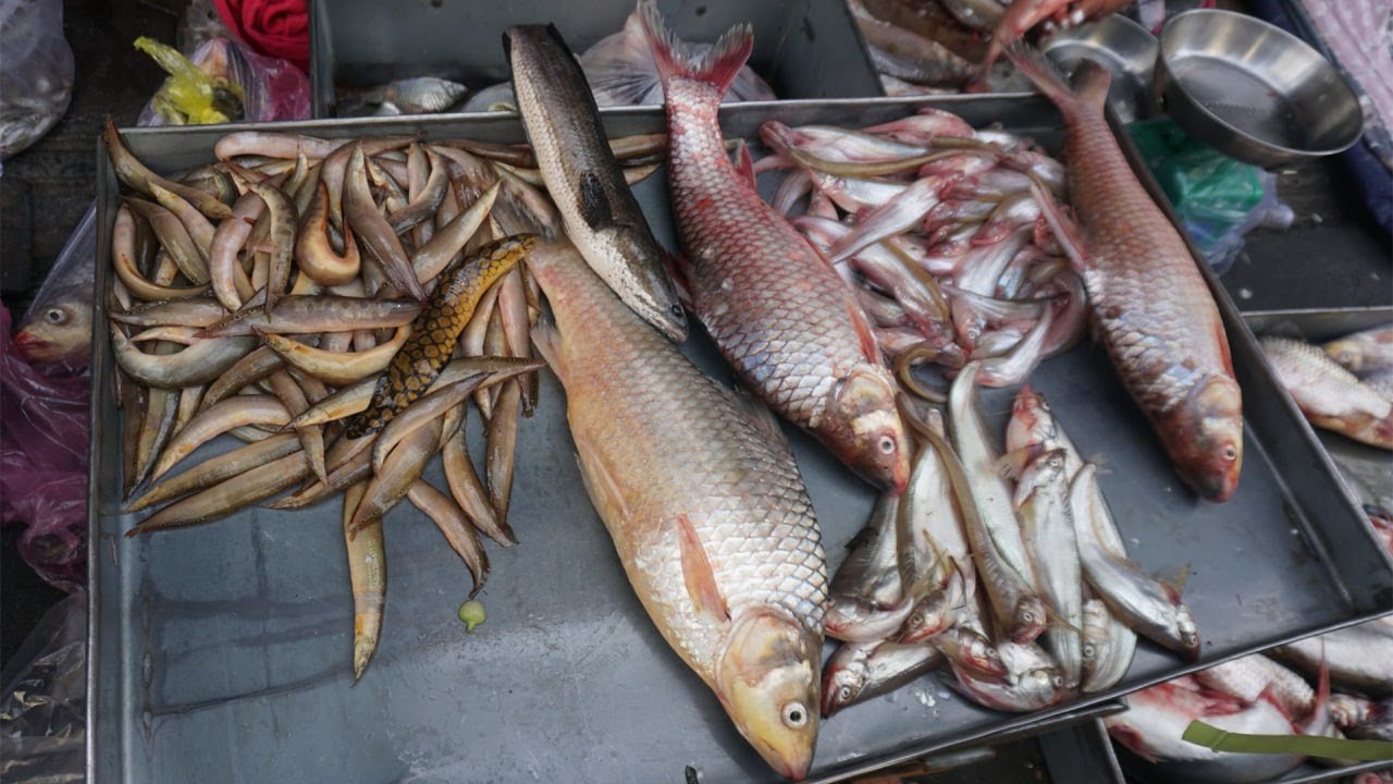 Morning Food Market Scene in Town - Many Different Various Green Vegetable, Dry Fish & More Food