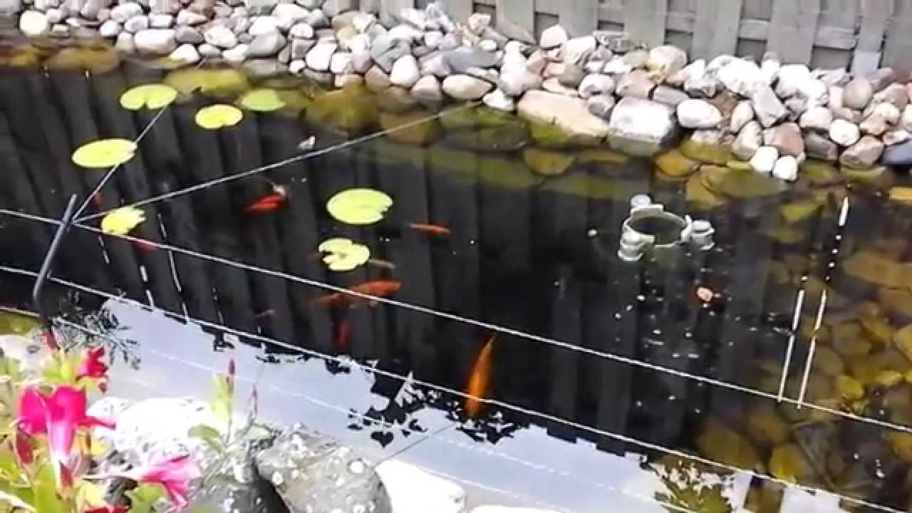 Koi vijver met plantenfilter en beekloop