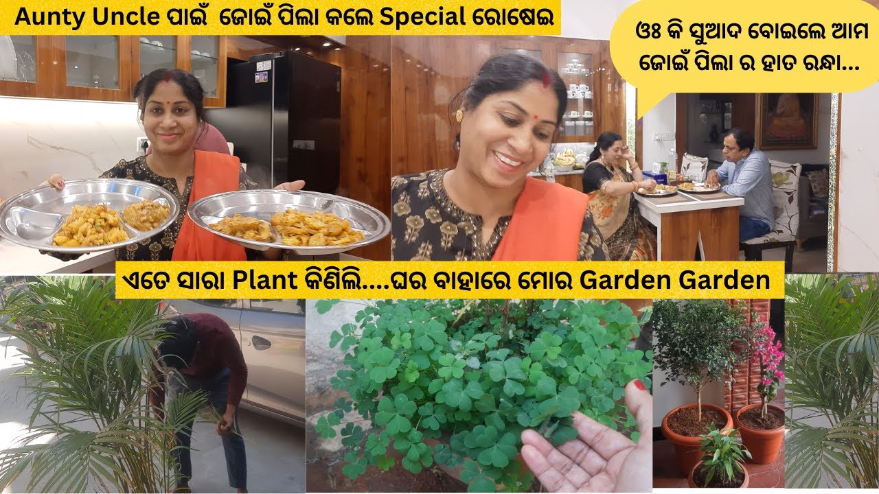 Aunty Uncle ପାଇଁ  ଜୋଇଁ ପିଲା କଲେ Special ରୋଷେଇ /ଏତେ ସାରା Plant କିଣିଲି....ଘର ବାହାରେ ମୋର Garden Garden