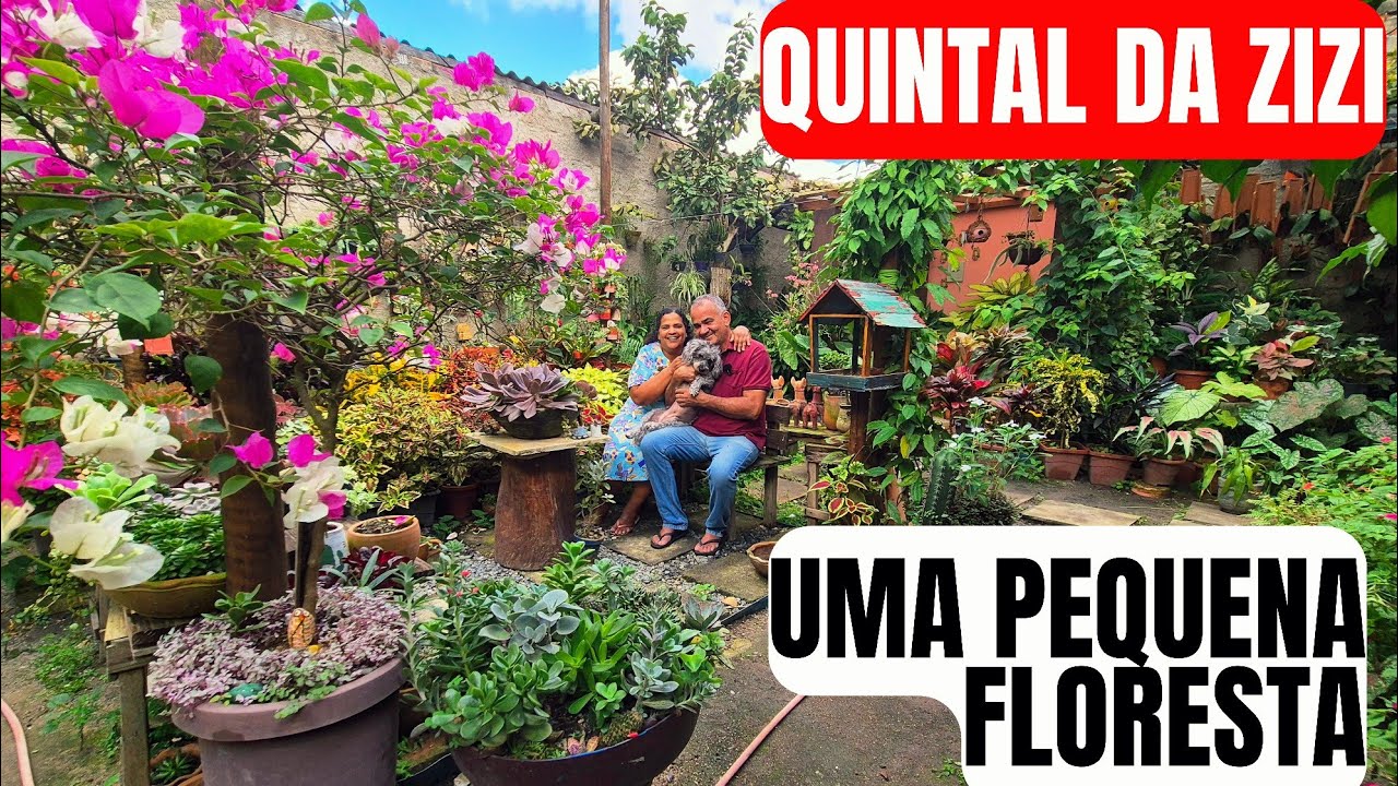 UMA PEQUENA FLORESTA: UM QUINTAL DE CHÃO DE TERRA E MUITAS PLANTAS | DE CACTOS A FOLHAGENS RARAS