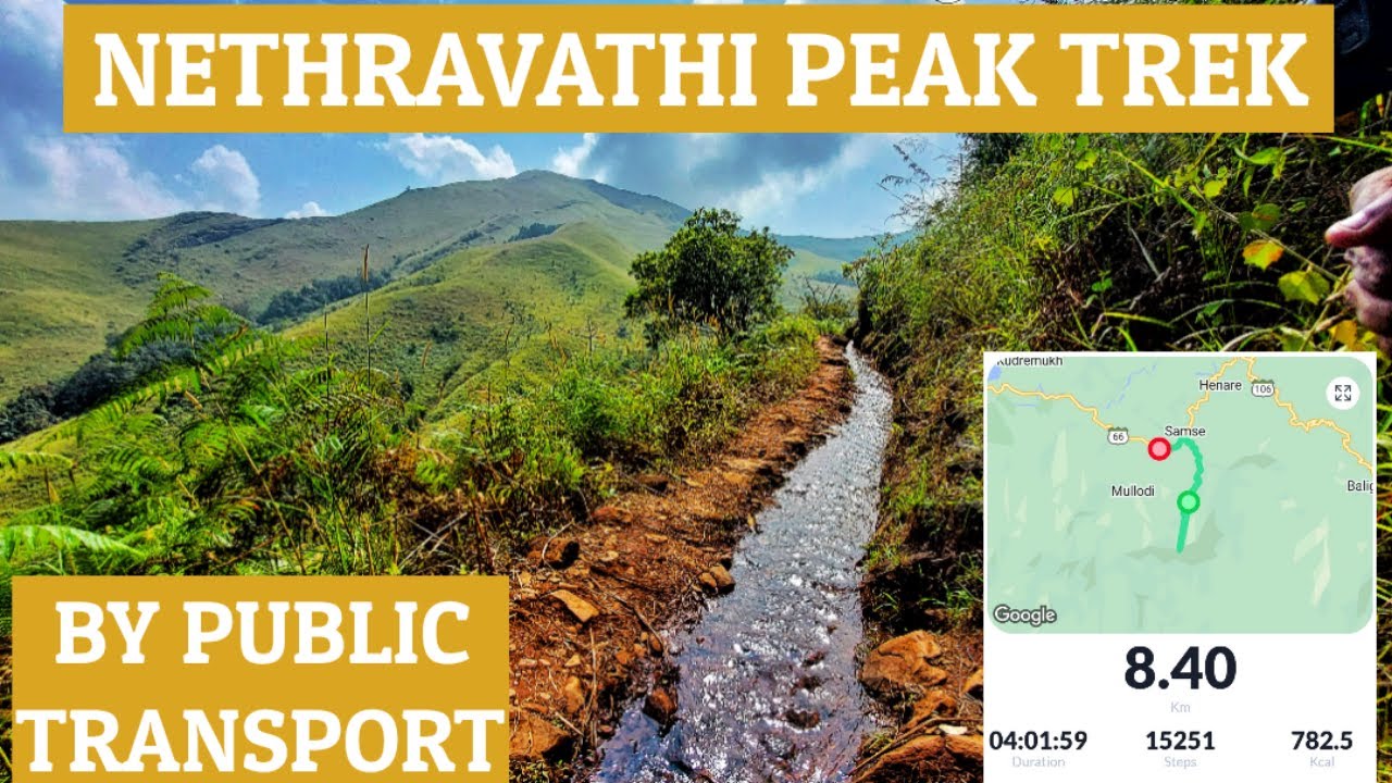 Netravati Peak | Netravathi Peak Trek by Public Transport | Netravati Peak complete guide
