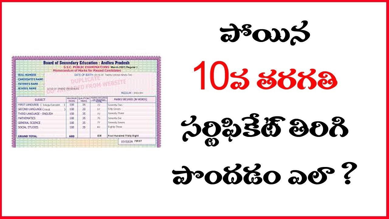 How to Get Back Lost SSC Certificate