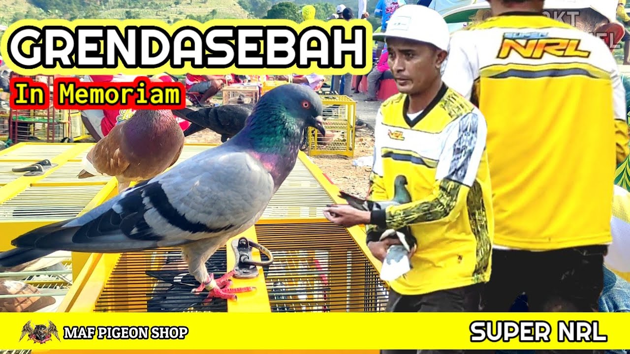 🔴 GRENDASEBAH IN MEMORIAM‼️BEST PERFORM GRENDASEBAH