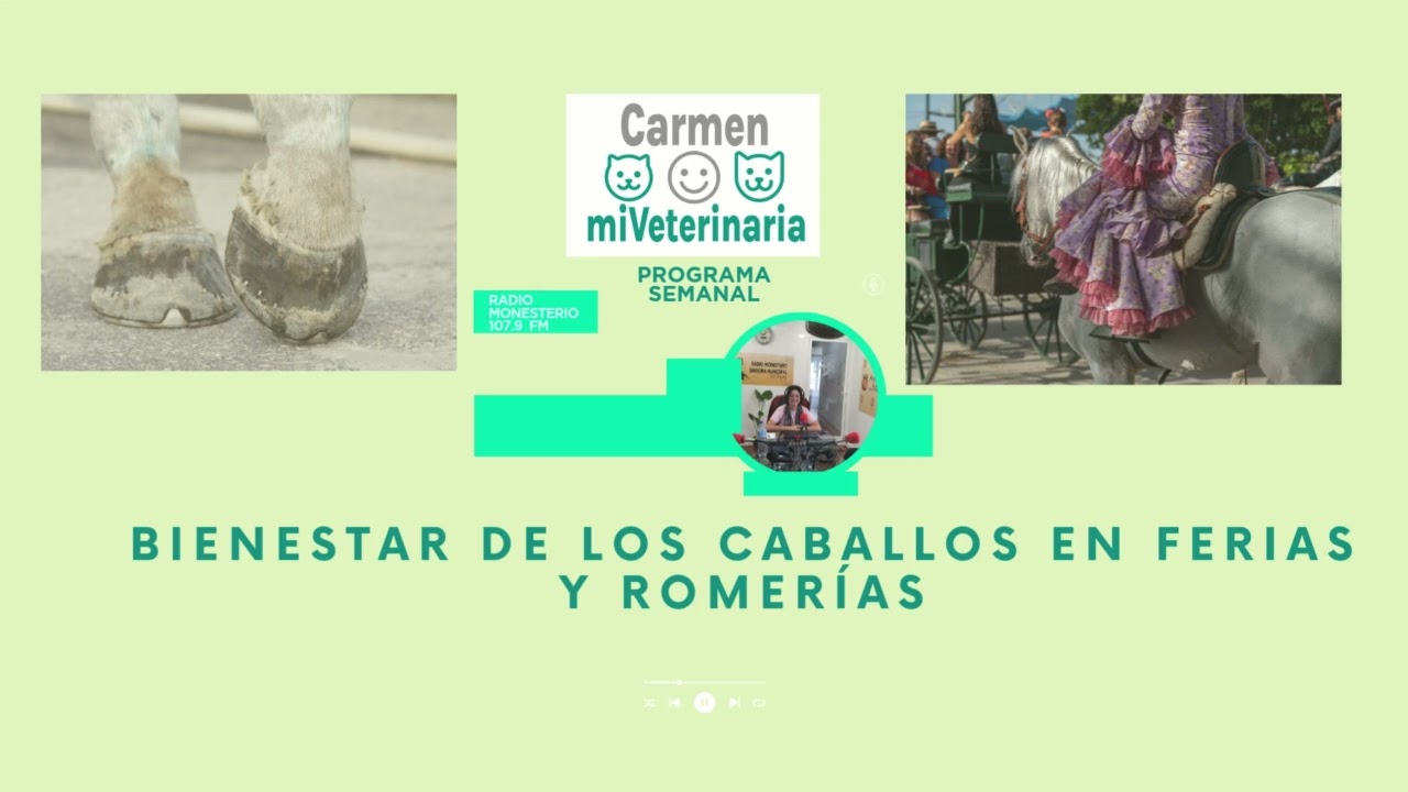 Bienestar animal en Fiestas y Romerías