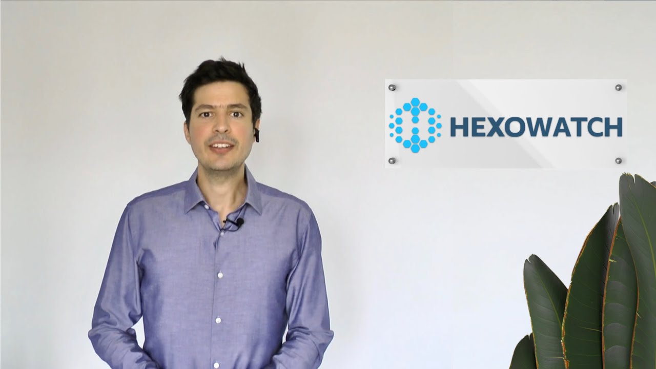 Hexowatch is your AI sidekick to monitor any website for visual, content, source code, technology ..