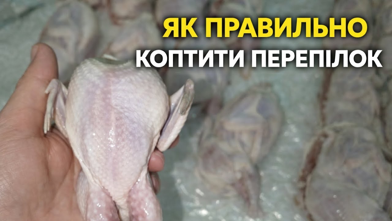 Як правильно коптити перепілок.Мій перевірений рецепт