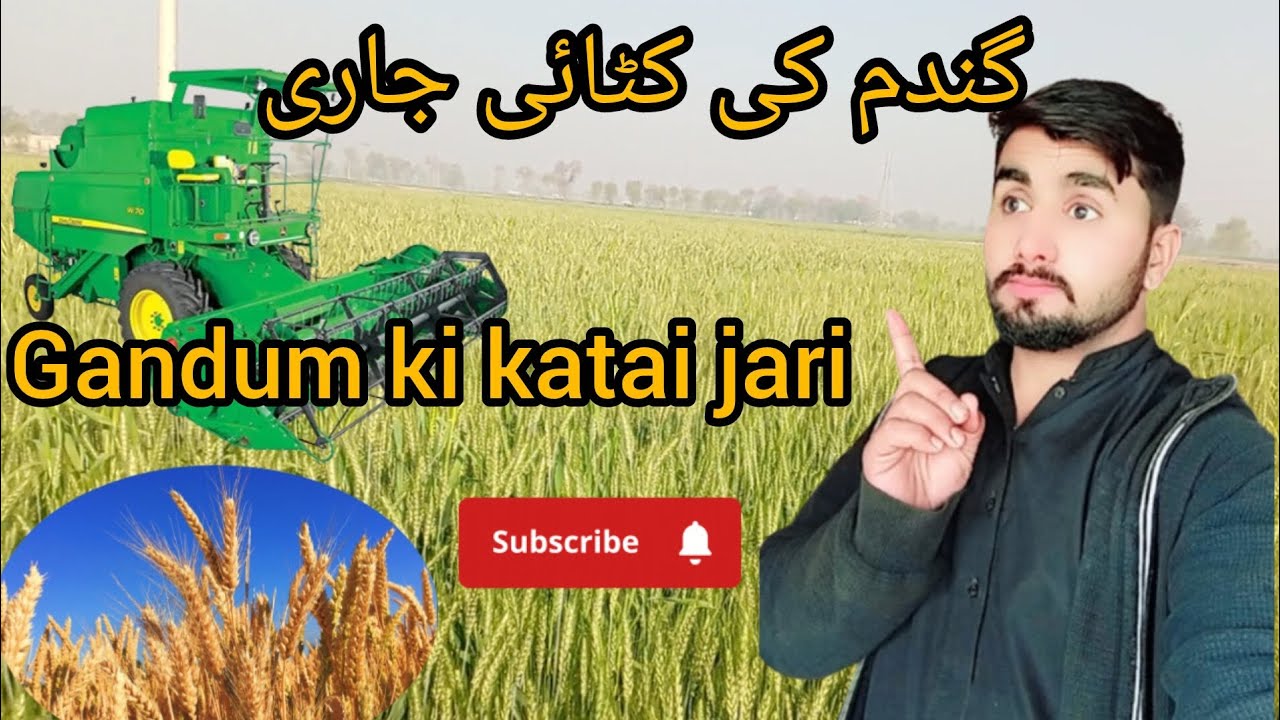 10 din bad gardan ki katai Shuru hone wali hai