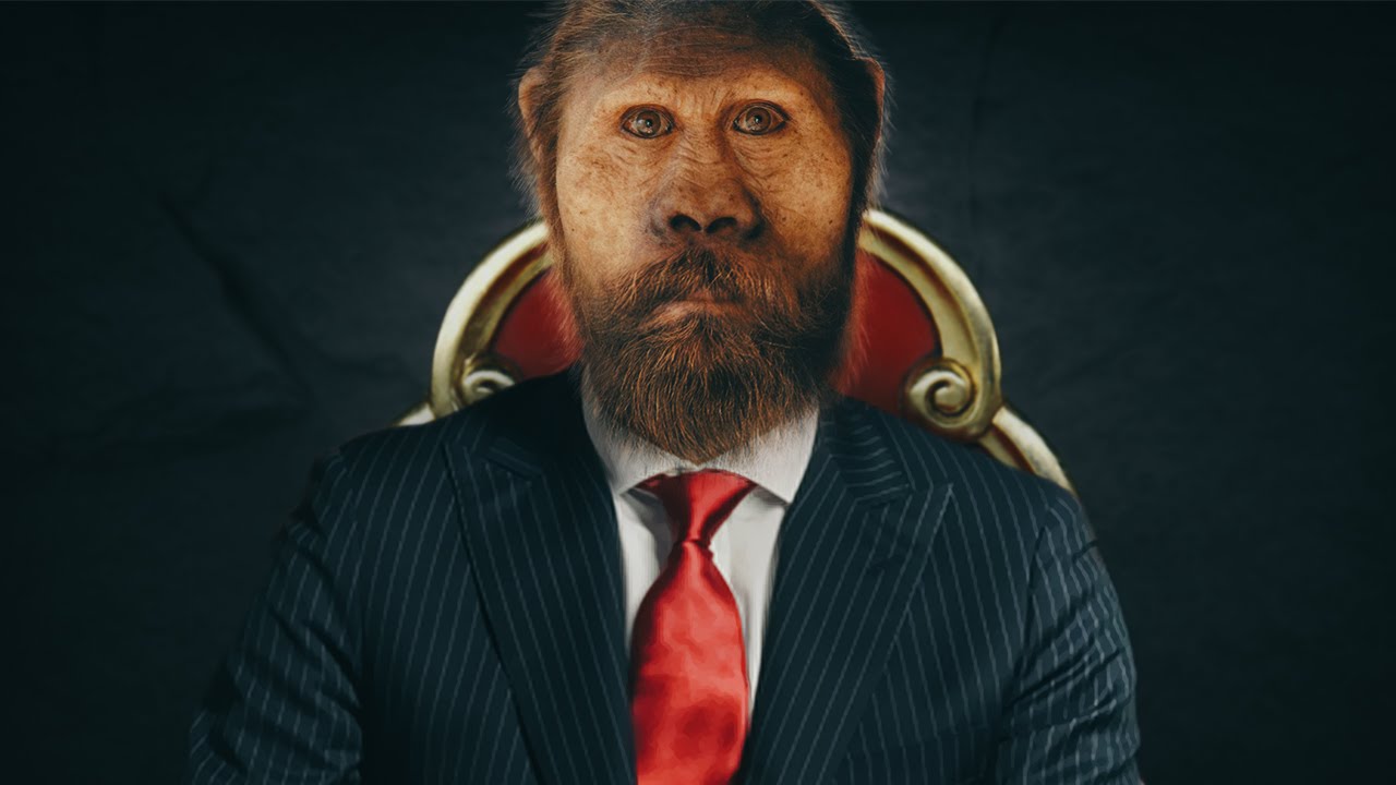 Rimishërimi i Kafshës - D.M.K.