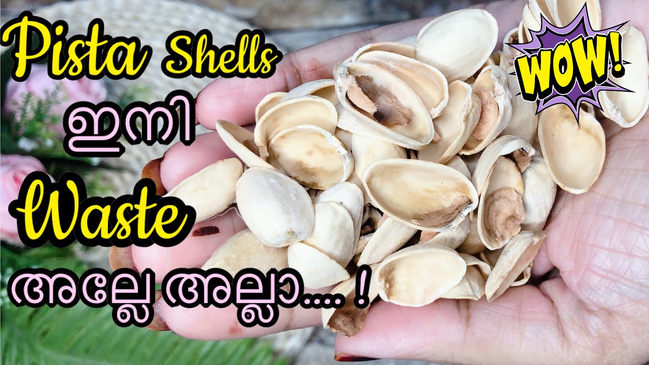 Quick & Simple Wall Decor From Waste Materials| DIY Pista Shell craft Ideas | Pistachio craft Ideas