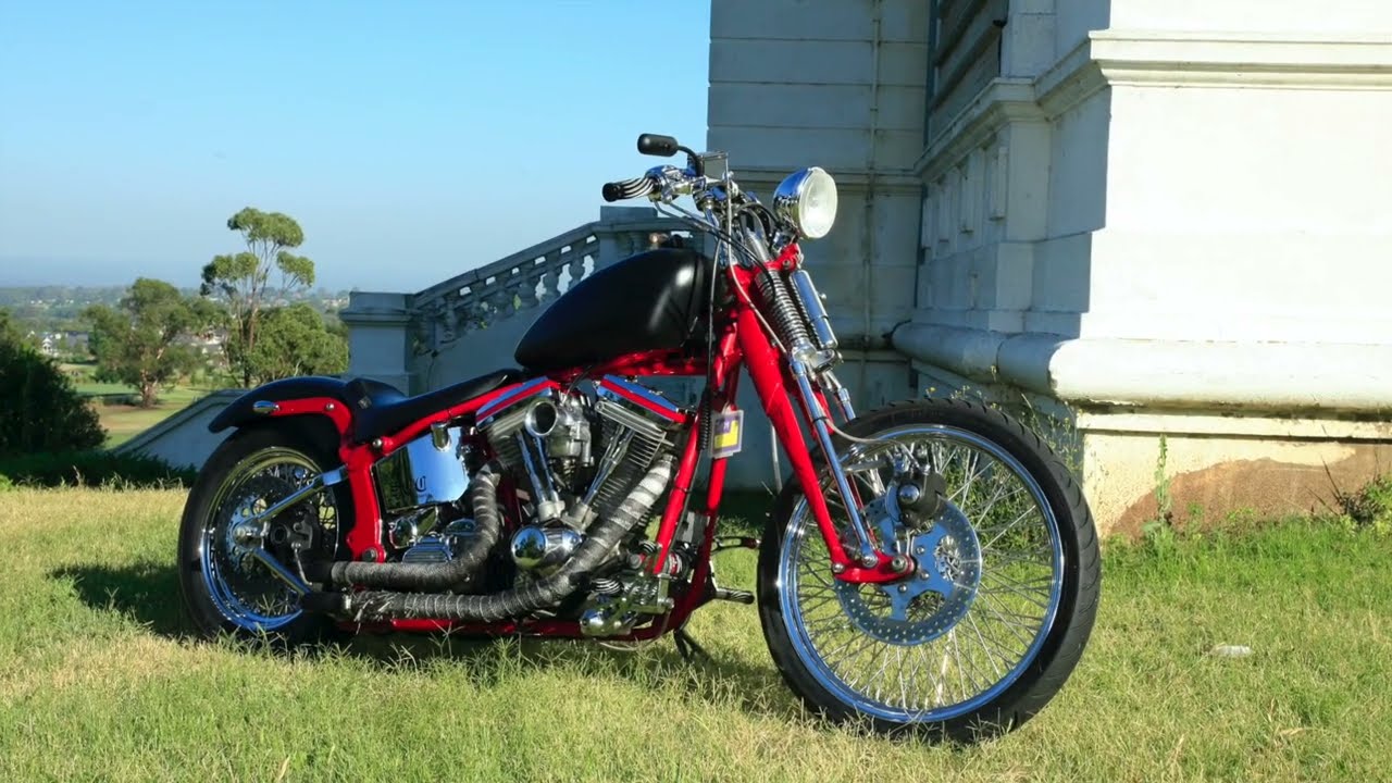 Dan's Springer