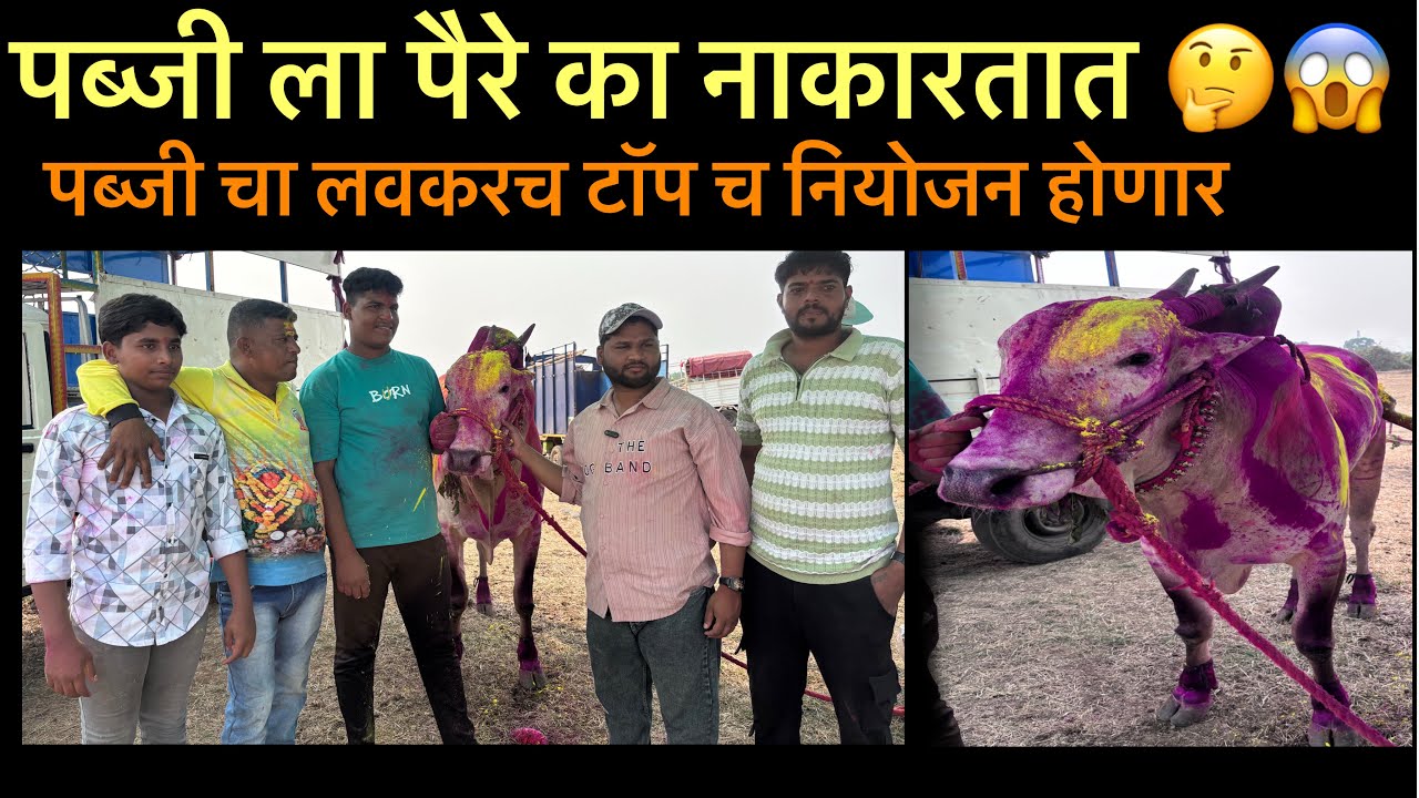 पब्जी ला पैरे का नाकारतात 🤔