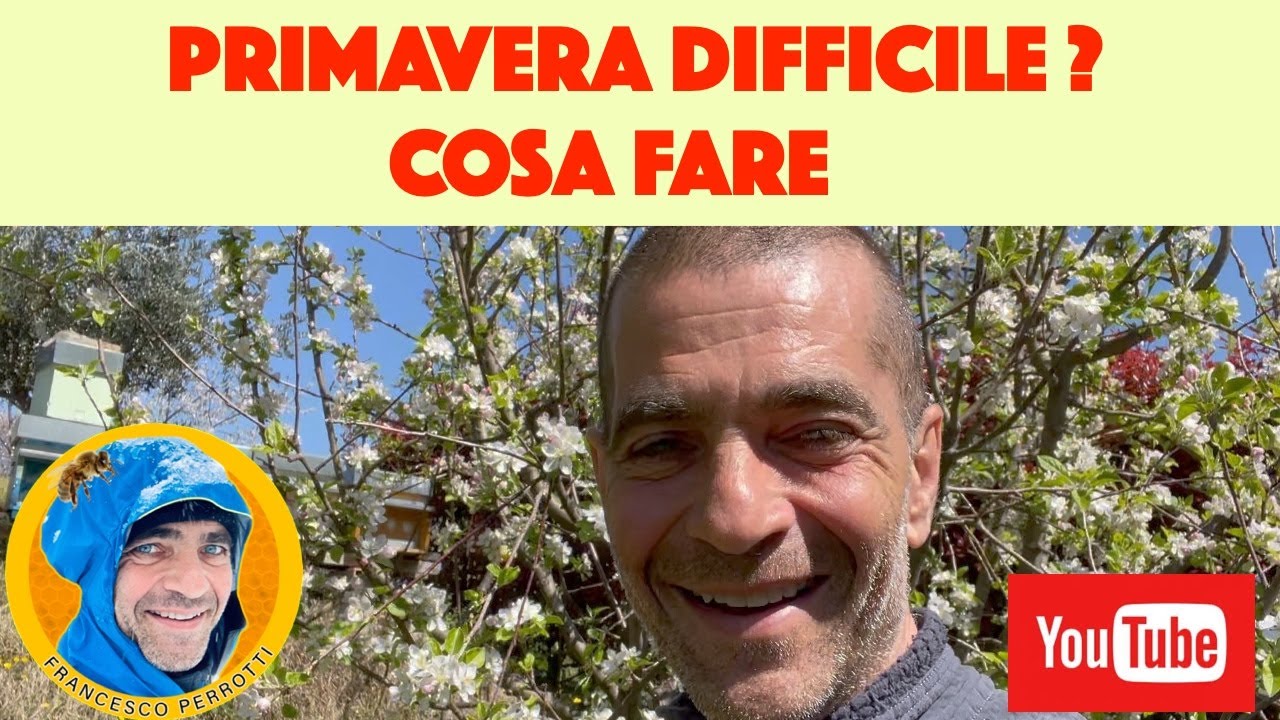 #apicoltura 2023 primavera e famiglie in difficoltà. cosa fare ?