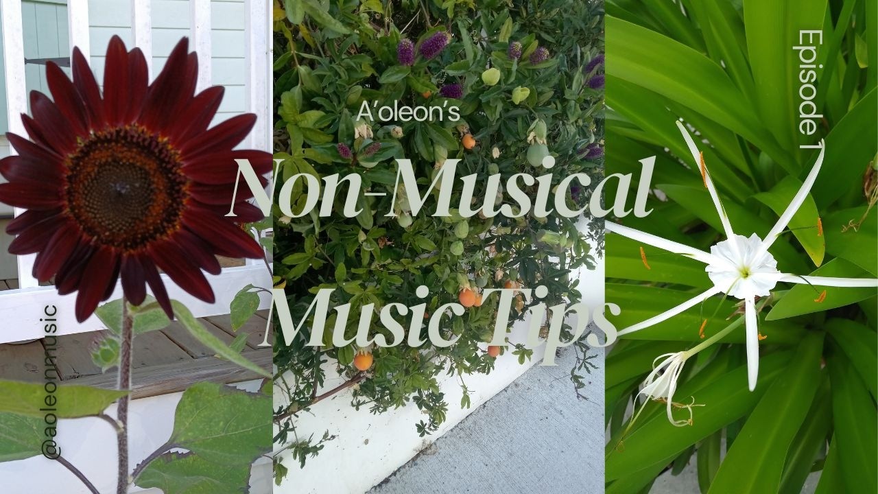 Non Musical Music Tips