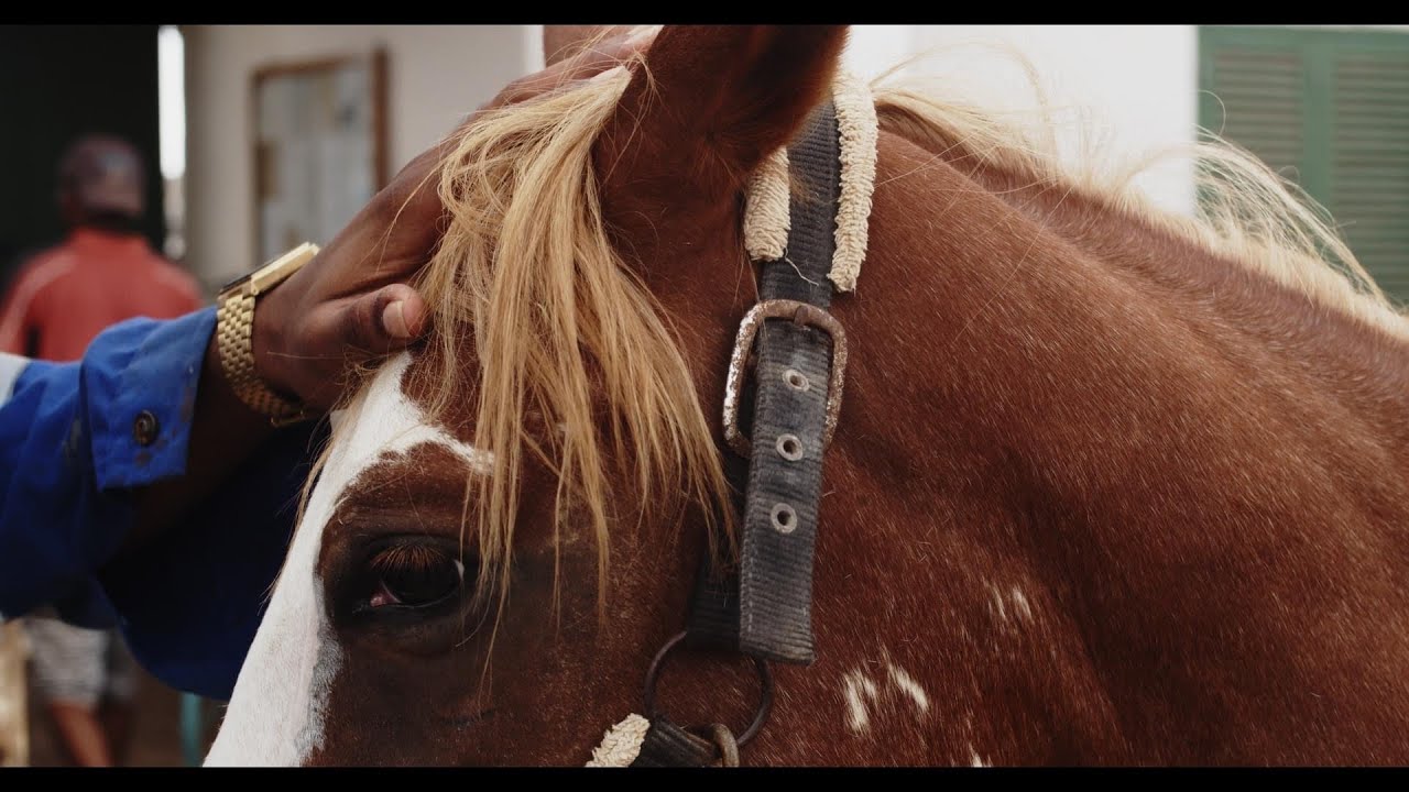 Mark Delman - Konumb&aacute; ft Renata Santos & Kiddye Bonz ( Prod By. Felino )