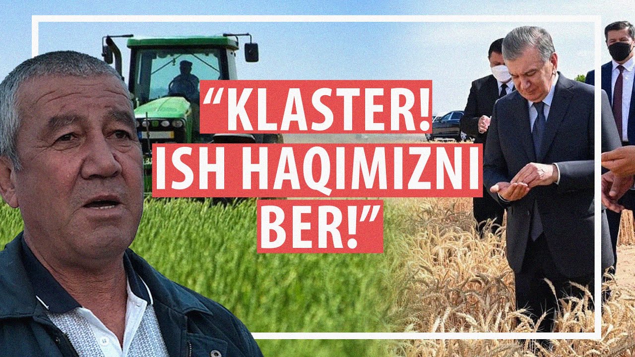 Klaster kombaynchilarni ishlatib maoshini bermadi