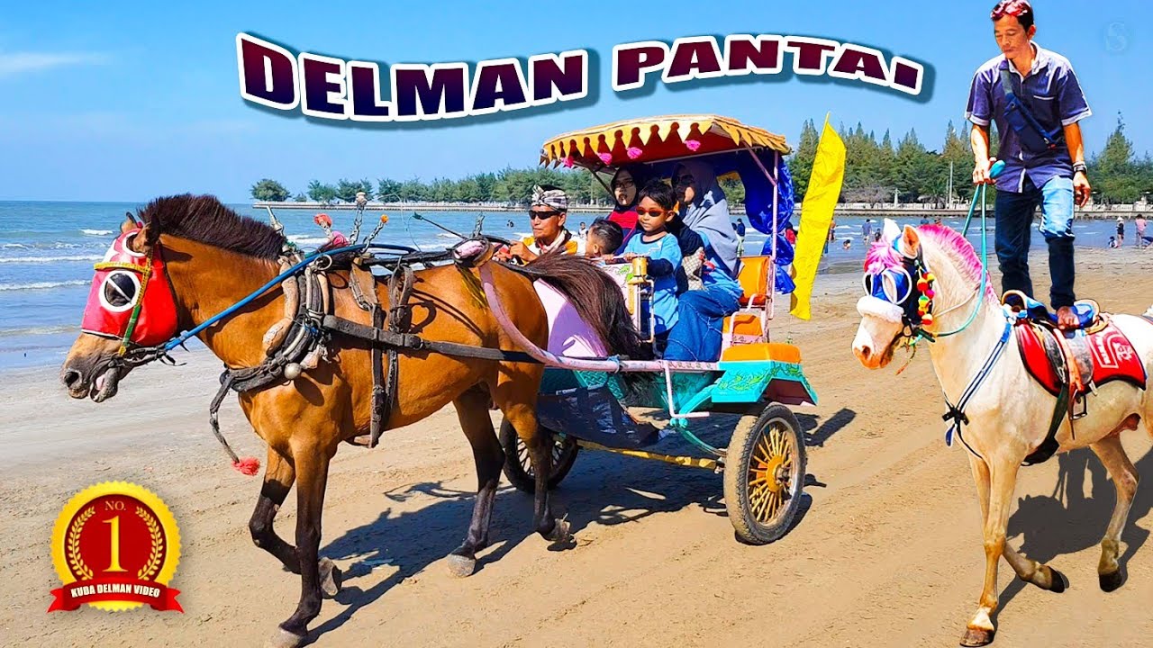 NAIK DELMAN ISTIMEWA - Lagu Populer | Wisata KUDA terLENGKAP ~ Naik KUDA BERDIRI, KUDA PONI!