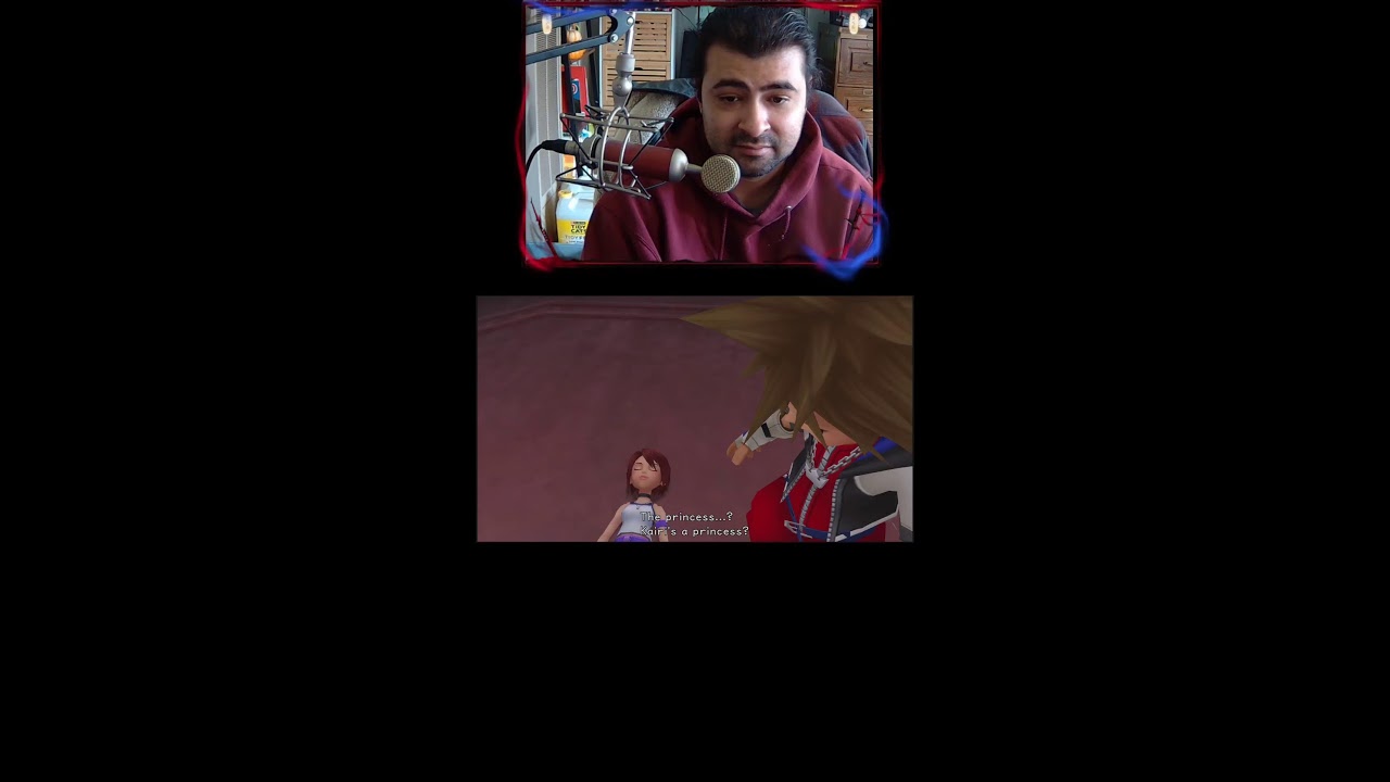 Kingdom Hearts 1.5!