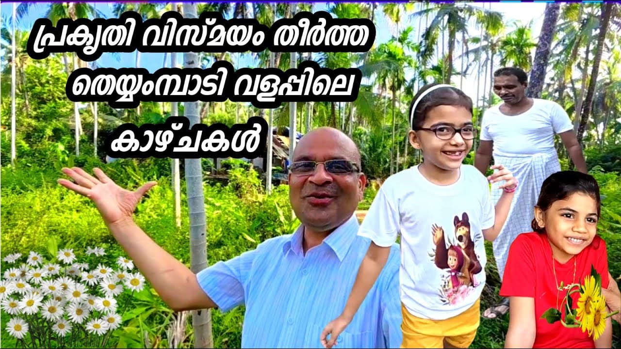 പ്രകൃതി വിസ്മയം തീർത്ത തെയ്യംബാടി വളപ്പിലെ കാഴ്ചകൾ...BEAUTIFUL THEYYAMBADI PLACE...