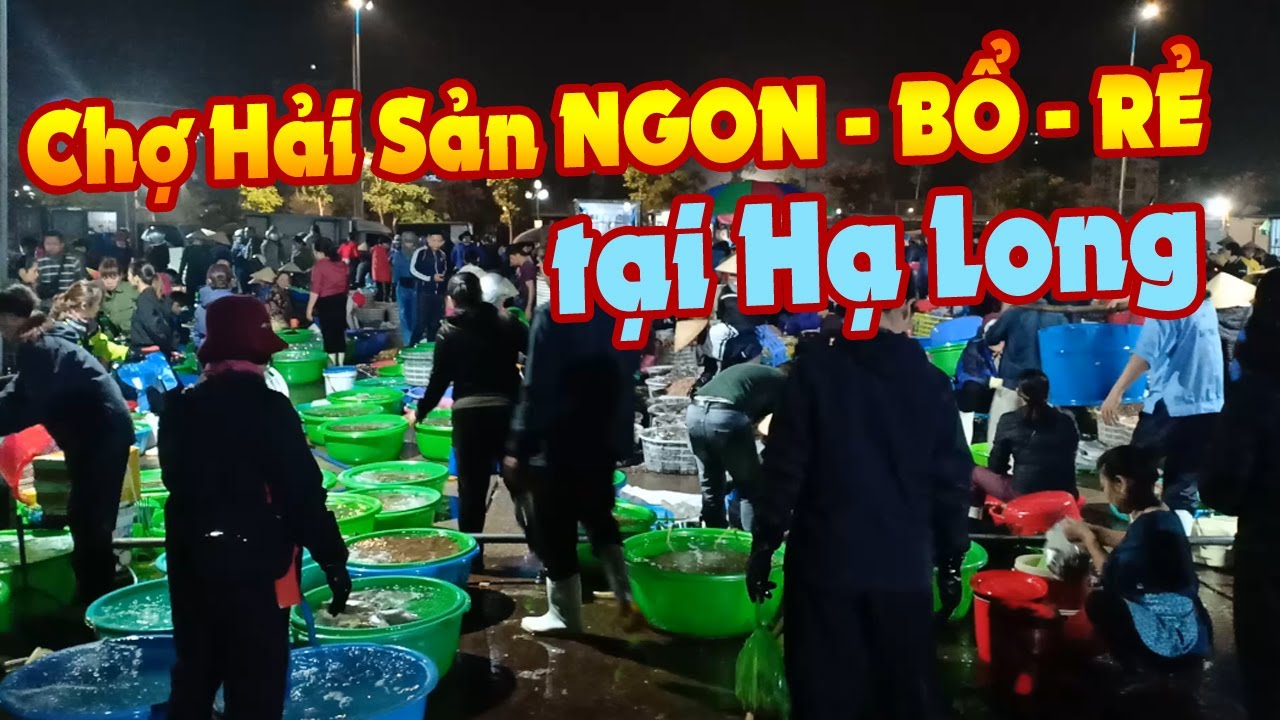Mua hải sản ở đâu ngon khi Du lịch Hạ Long? | Ha Long Wharf's market with the fresh seafood