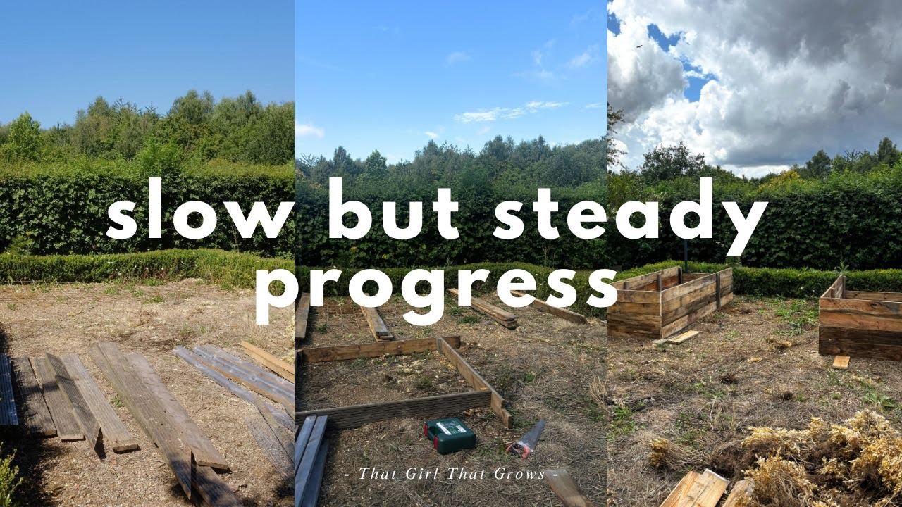 THE PLOT | slow but steady progress