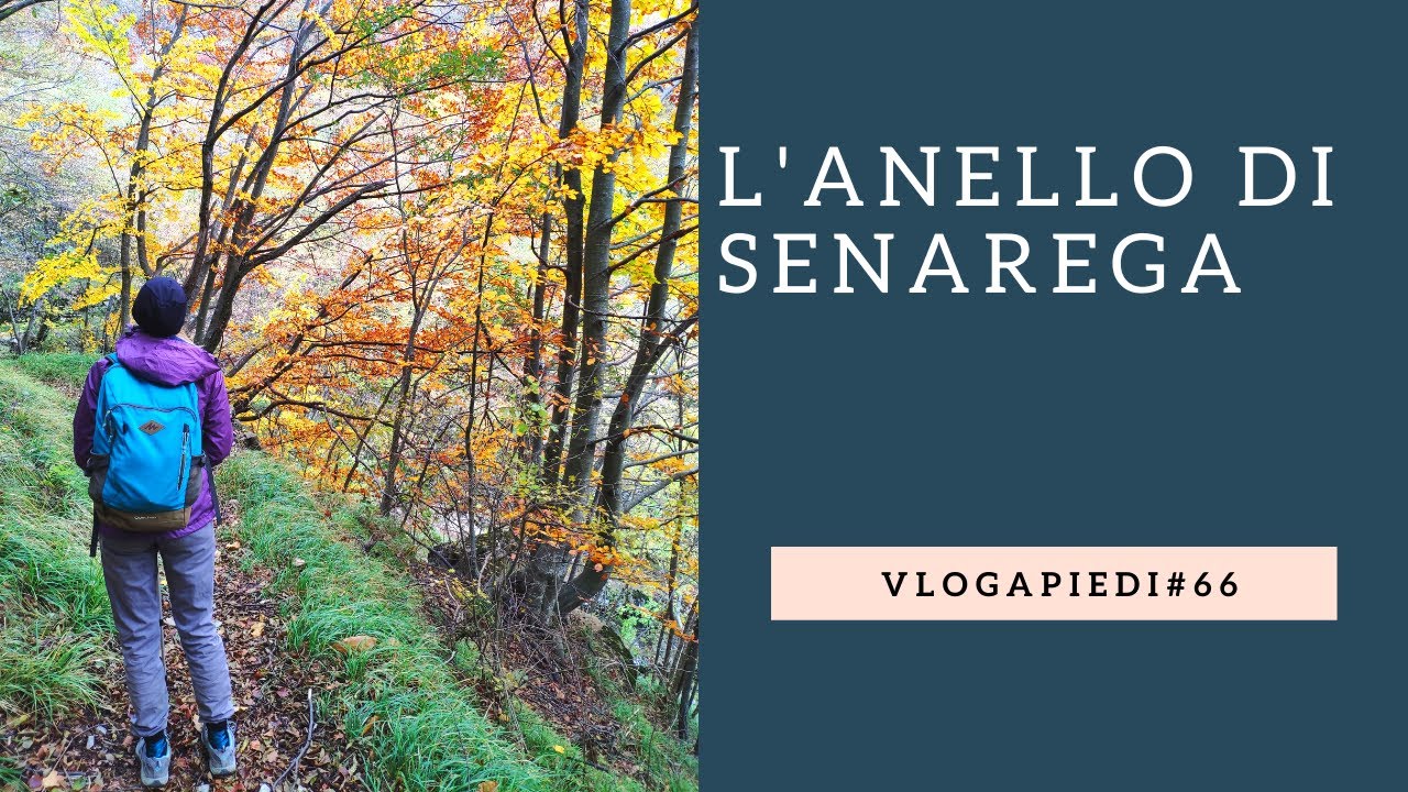 66. L'anello di Senarega