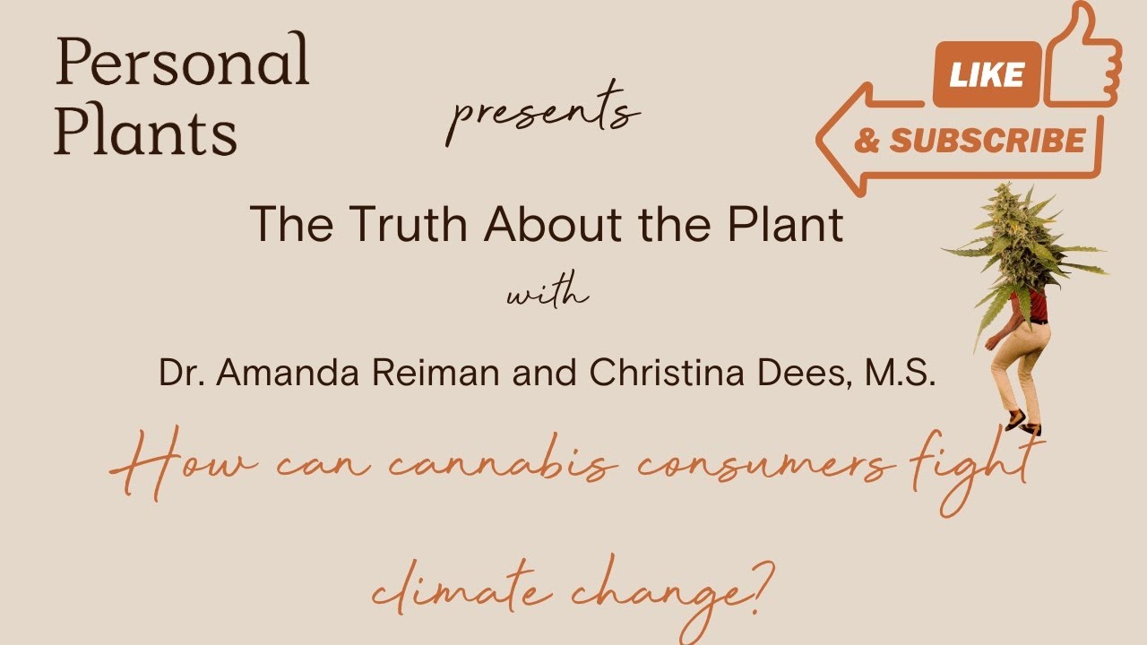 The Truth About the Plant: How can cannabis consumers fight climate change?