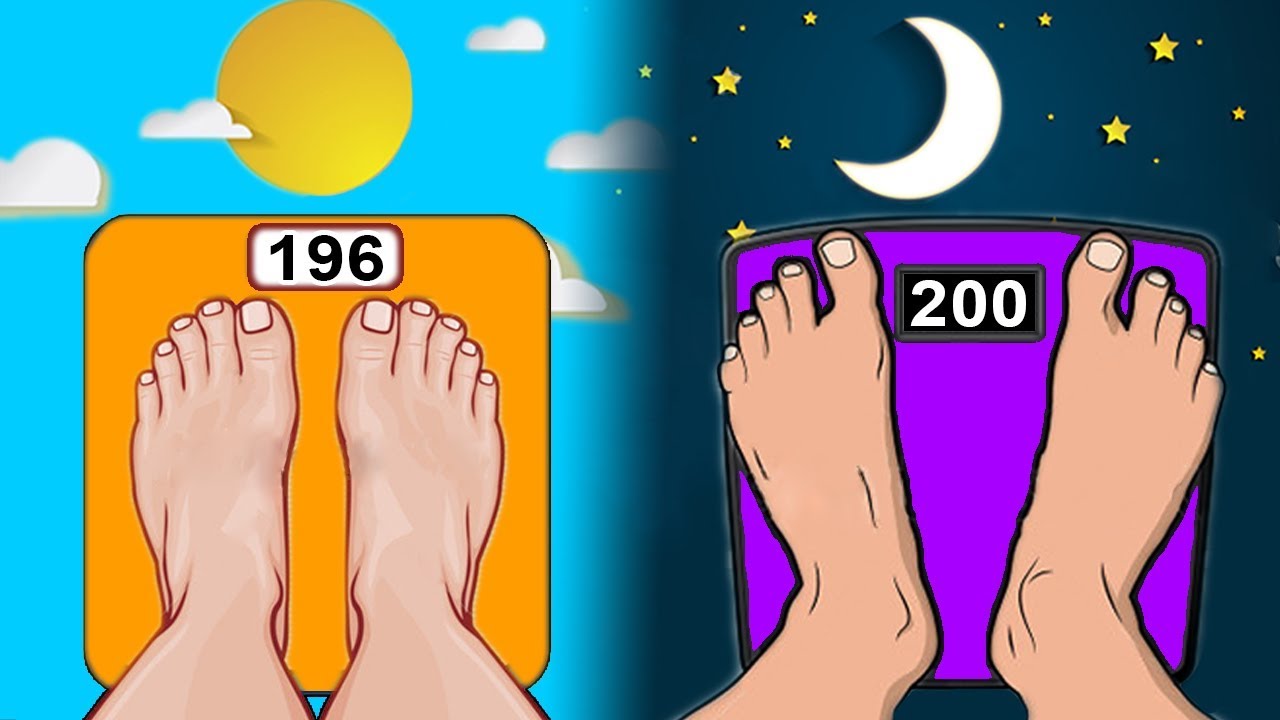 MORNING or EVENING Workouts for Weight Loss?