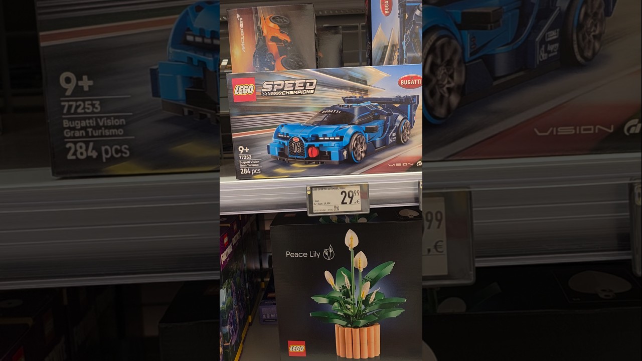 LEGO Hunting