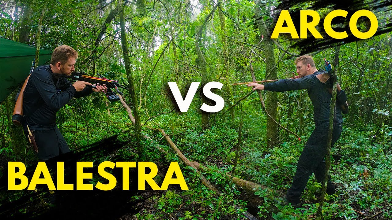 BALESTRA X ARCO - QUAL É O MELHOR?