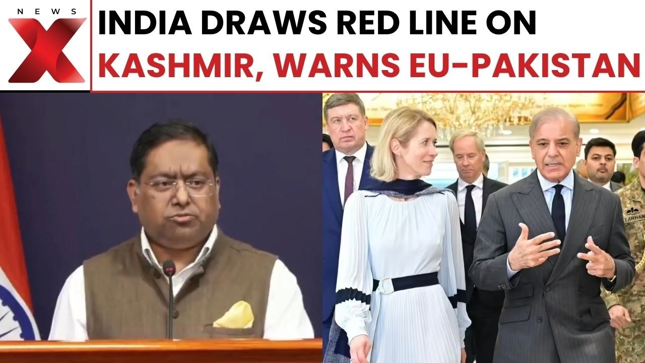 India Slams EU-Pakistan Joint Remarks On Kashmir, Says No Locus Standi | NewsX
