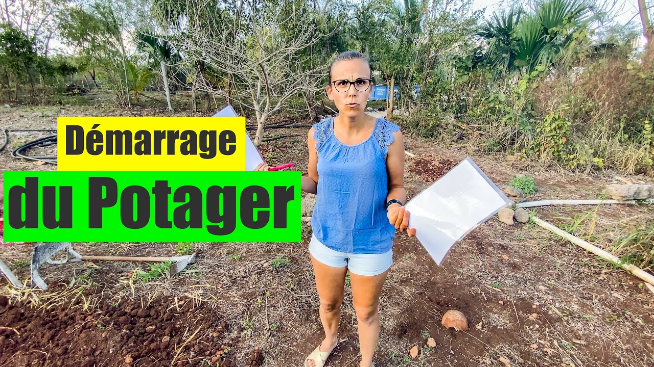 On démarre notre Potager