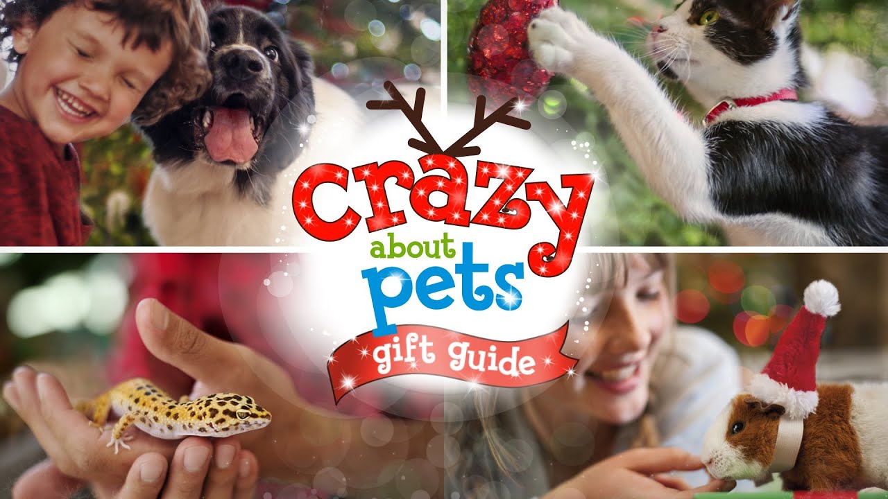 Crazy About Pets! - Pet Holiday Gift Guide - Presented by Petco