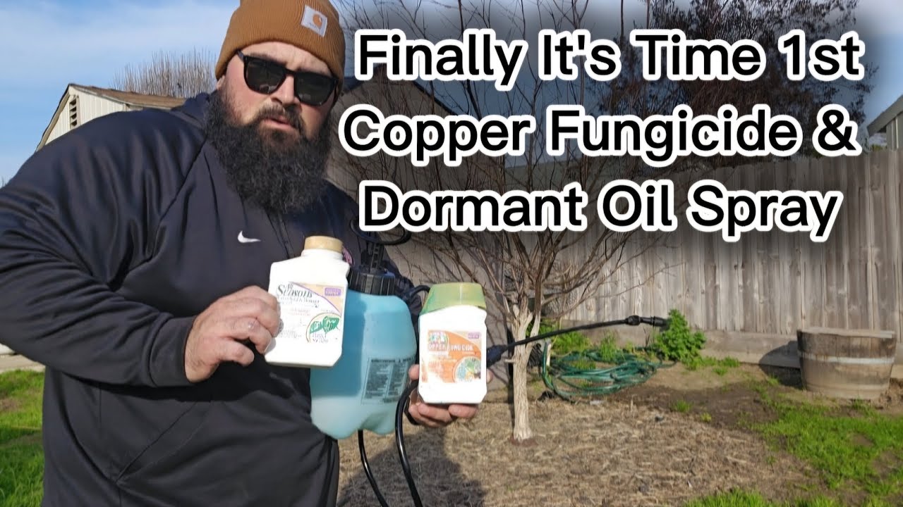 Copper Fungicide & Dormant Oil Spray
