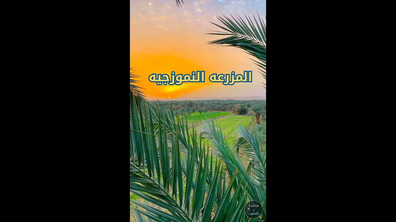 الطريقه الصحيحه لانشاء مزرعه نموذجيه في الواحات البحريه