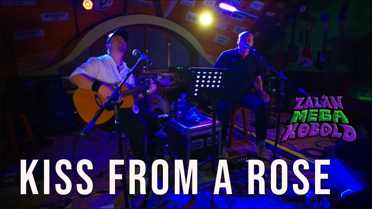 Zal&aacute;n MEGA Kobold - Kiss from a Rose (Seal cover) Live at Corner Stage Miskolc
