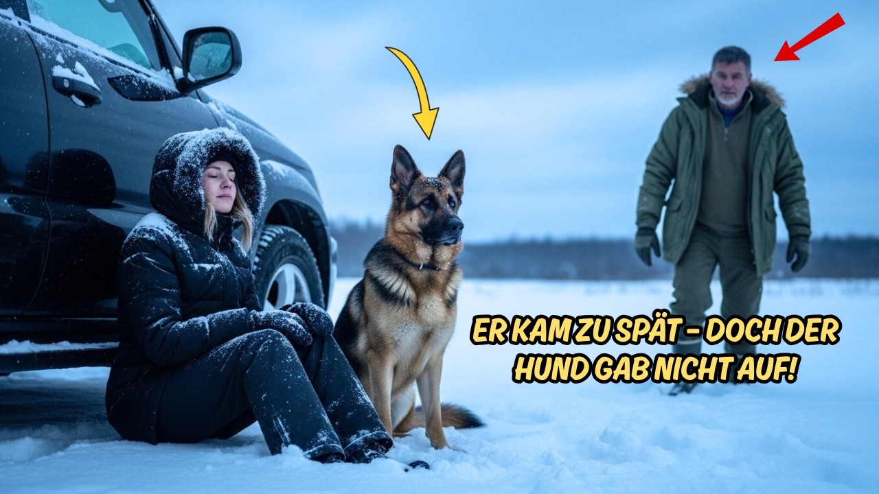 Schäferhund Und Der Mann Im Moor – Eine Nacht Aus Schnee, Verrat Und Hoffnung…