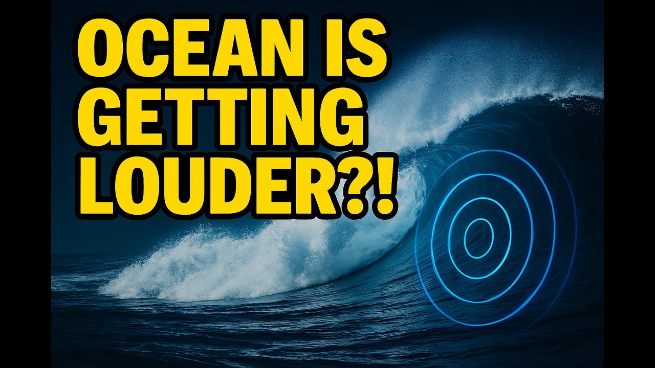 Why the Ocean Is No Longer Silent